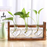 Vintage Hydroponic Wooden Frame Glass Vase