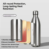 Stainless Steel Vacuum Insulated Sports Bottle – BPA-Free
