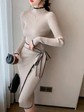 Elegant Vintage Autumn Winter Knitted Dress - Office Fashion