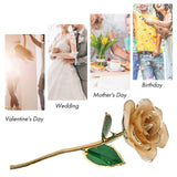 24k Gold Gold 24K Gold Plated Gift Ornament for Birthday Anniversary Valentines Day Ornament with Stand