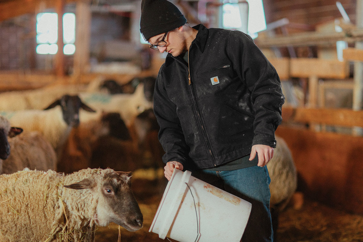 Carhartt® Duck Detroit Jacket