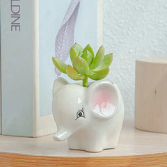 Nordic New Style Ceramic Animal Flower Pot Cartoon Zebra Sheep Cow Head Mini Pot Succulents Plants Bonsai Pots Home Decoration