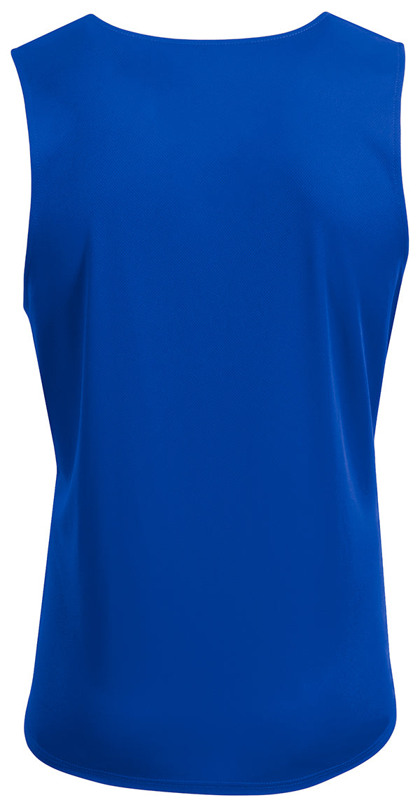 N2091 Royal/White, back view