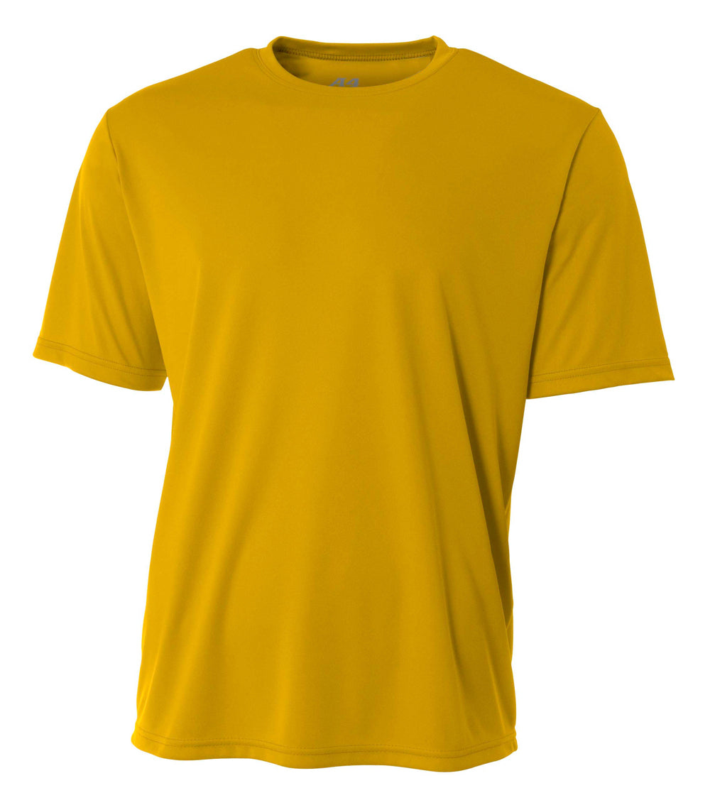 N3142 Gold 2011, front view