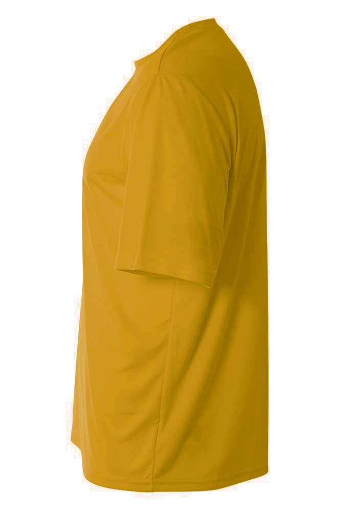 N3142 Gold 2011, side view