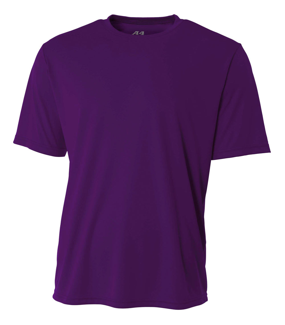N3142 Purple 2011, front view