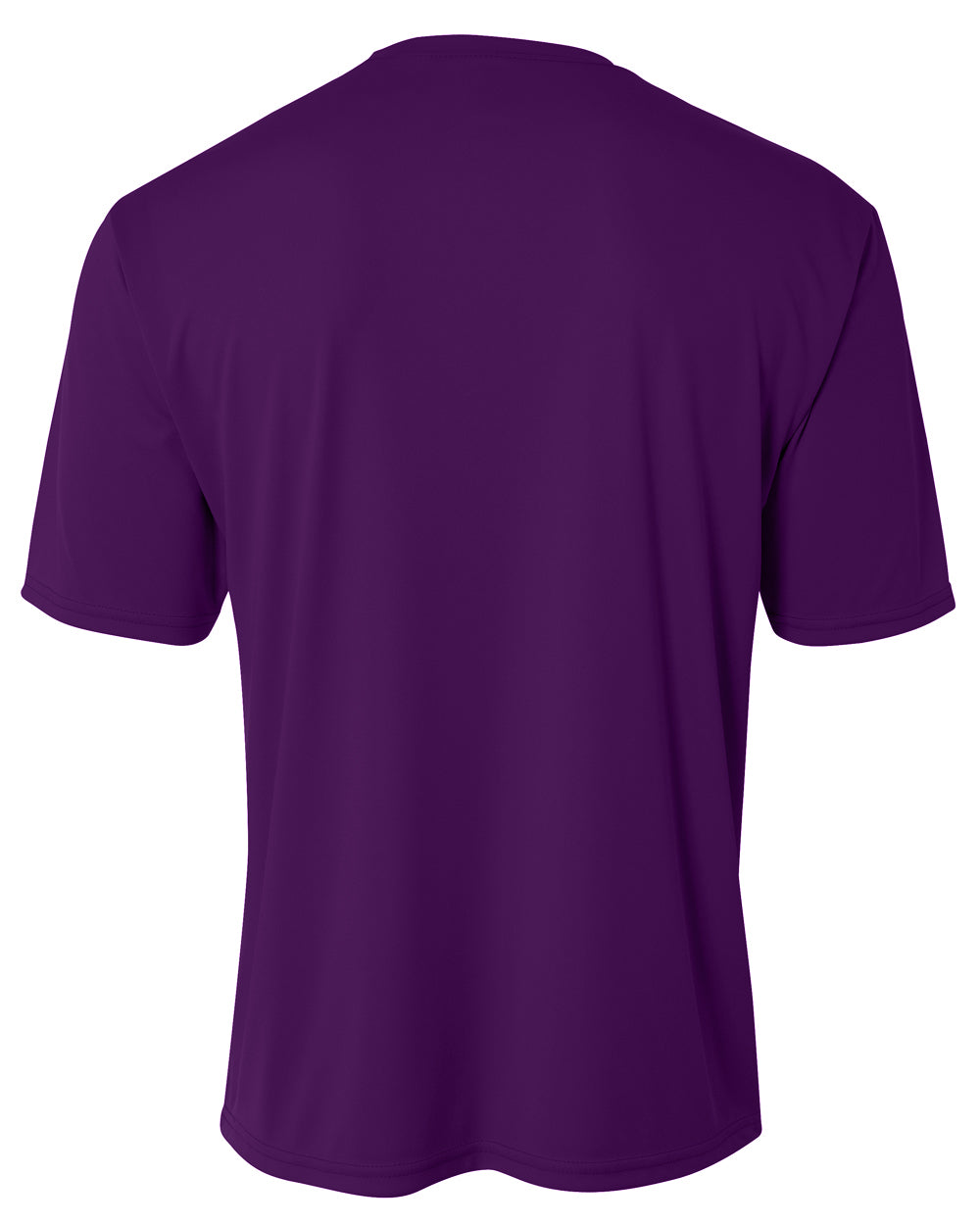 N3142 Purple 2011, back view