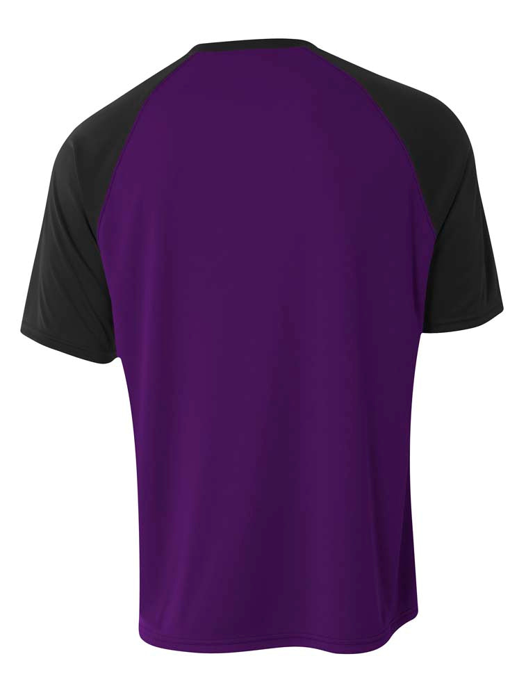 N3373 Purple /Black, back view