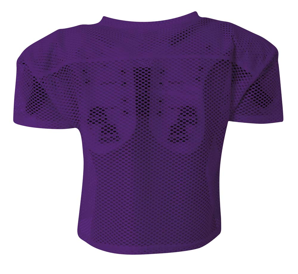 N4190 Purple, back view