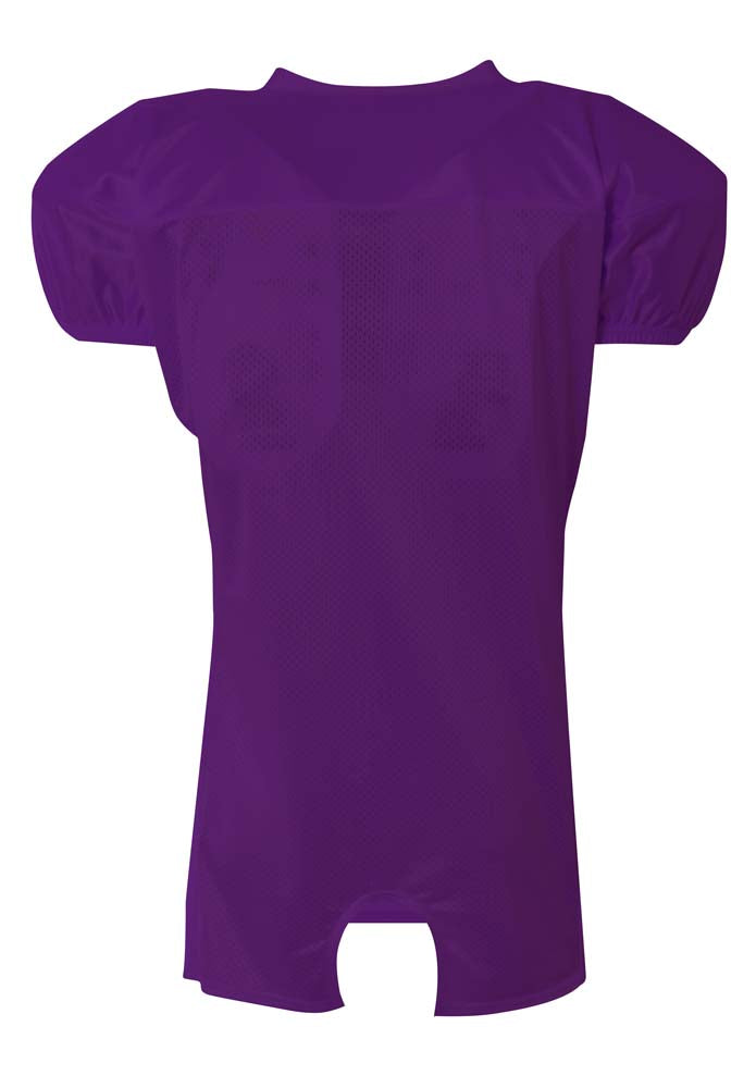 N4242 Purple, back view