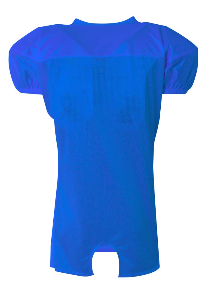 N4242 Royal, back view