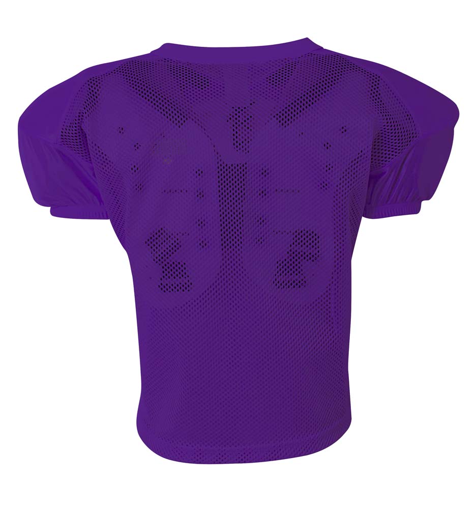N4260 Purple, back view