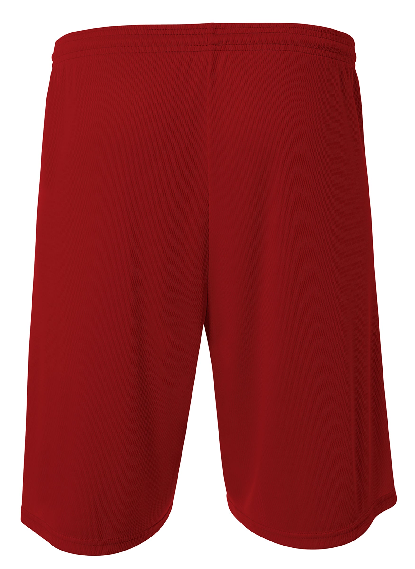 N5281 Cardinal New, back view