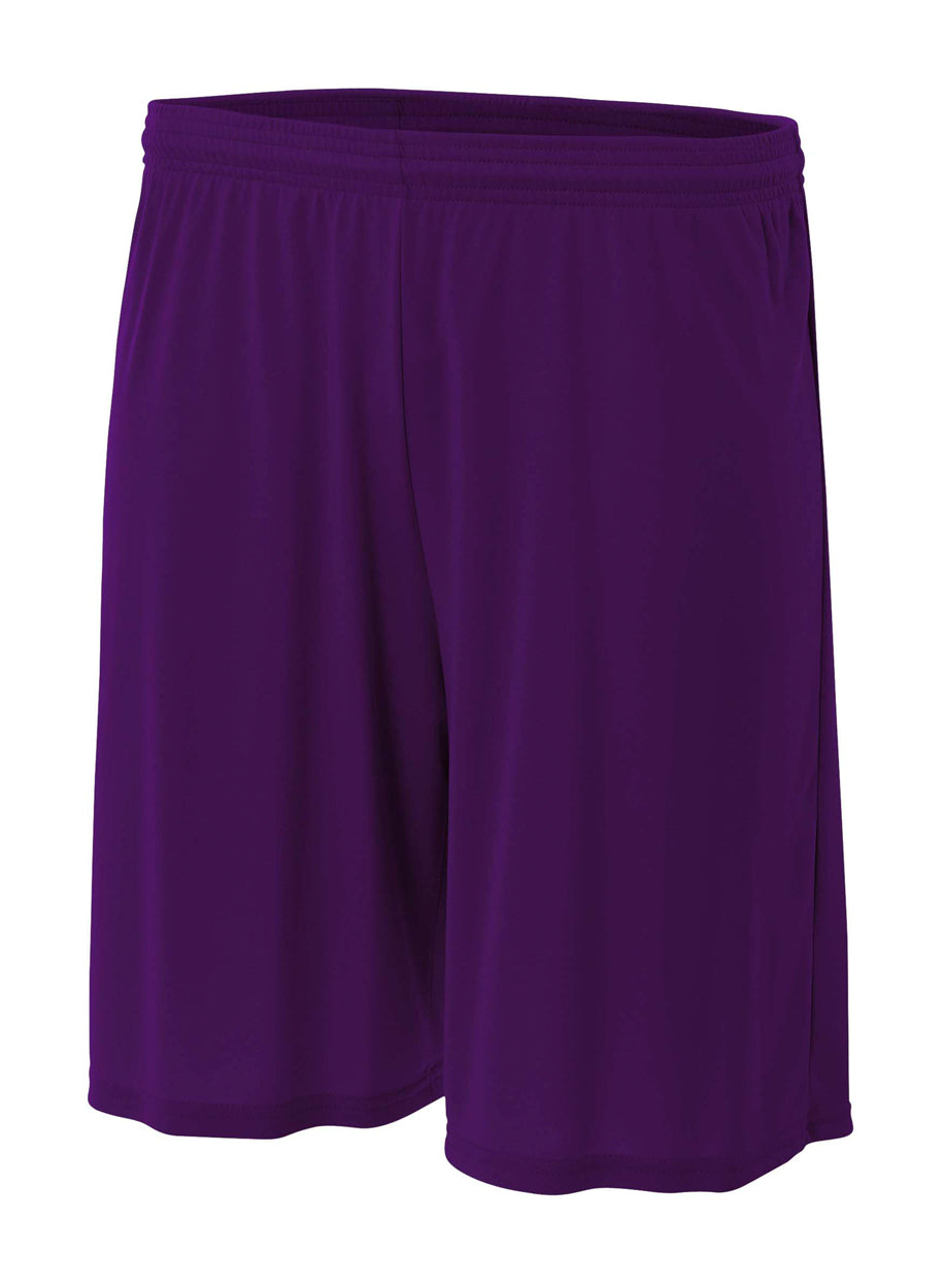 N5283 Purple 2011, front view