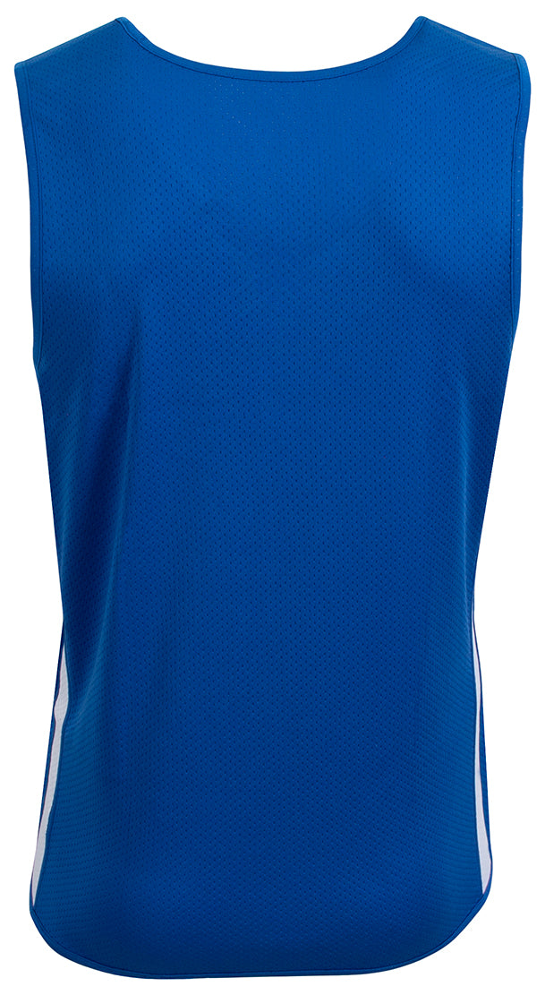 NB2092 Royal/White, back view