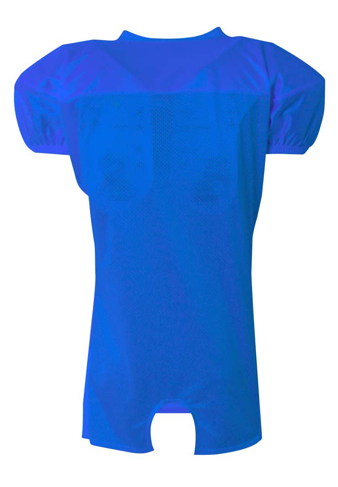 NB4242 Royal, back view