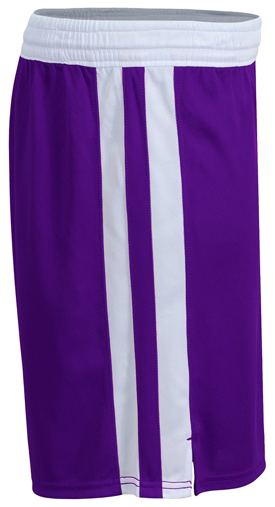 NB5093 Purple/White, side view