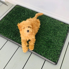 Dog Toilet Pee Separation Plastic Fake Turf